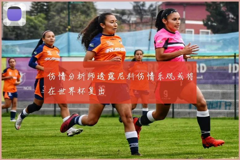 伤情分析师透露尼科伤情乐观或将在世界杯复出