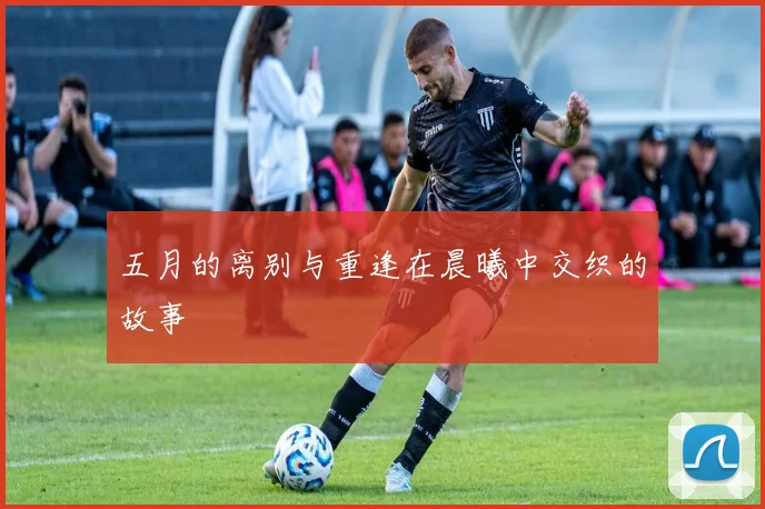 五月的离别与重逢在晨曦中交织的故事
