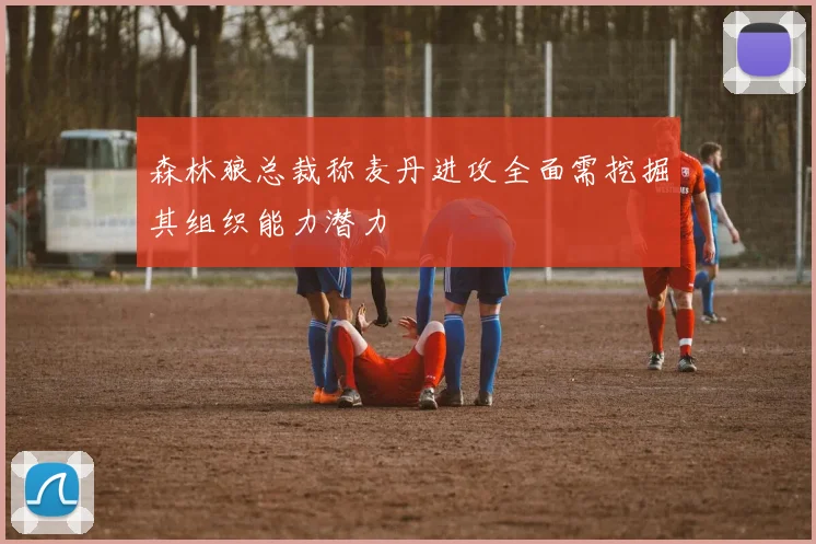 森林狼总裁称麦丹进攻全面需挖掘其组织能力潜力